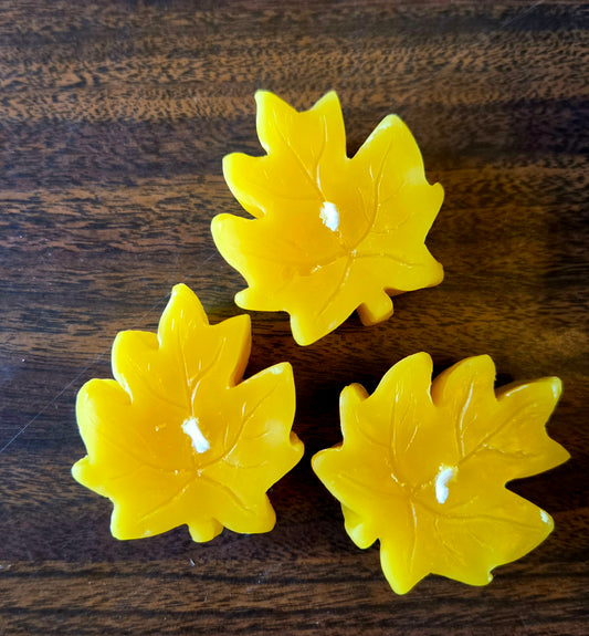 Maple Leaf 100% Beeswax Candle