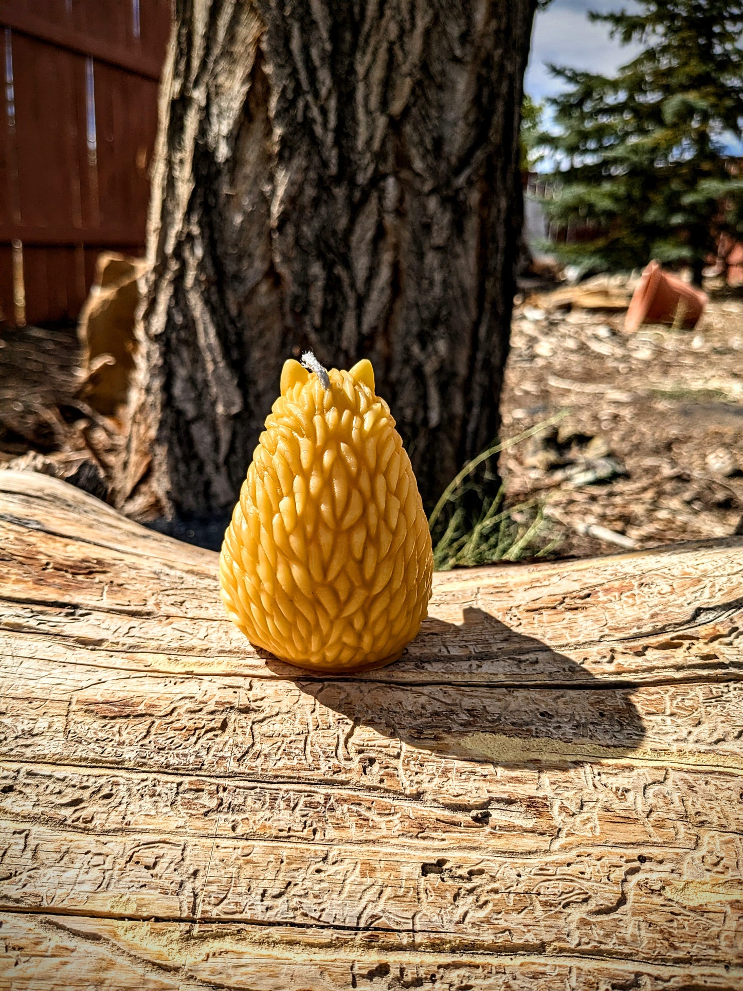 Hedgehog Candle - 100% Beeswax