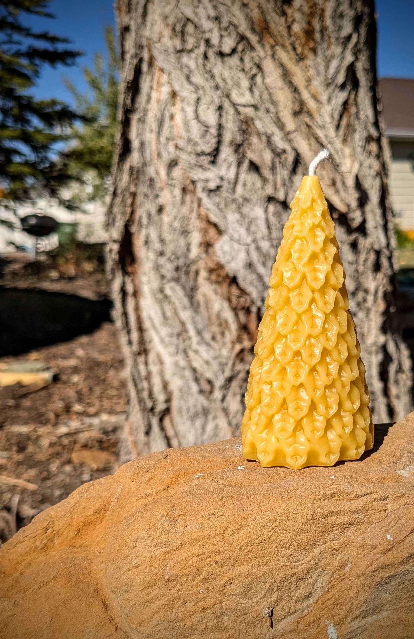 Tree - Holly Christmas Tree 100% Beeswax Candle