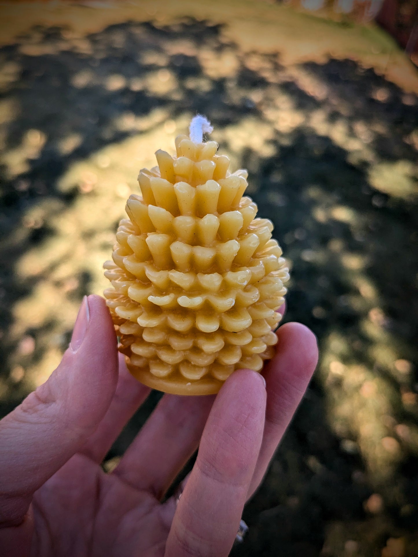 Pinecone 100% Beeswax Candle